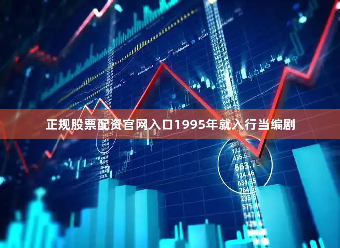 正规股票配资官网入口1995年就入行当编剧